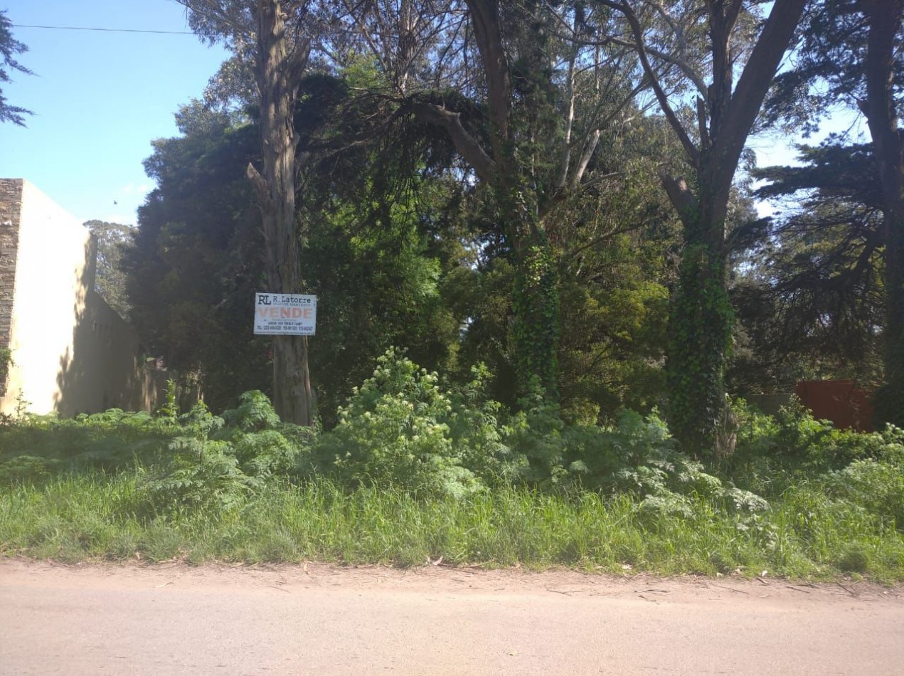 VENTA TERRENO DE 10X26 EN GANDHI Y LAS FRESIAS (PARQUE CAMET)