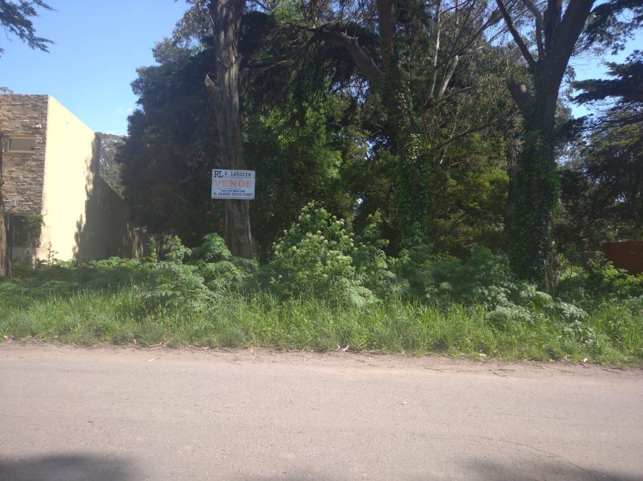 VENTA TERRENO DE 10X26 EN GANDHI Y LAS FRESIAS (PARQUE CAMET)