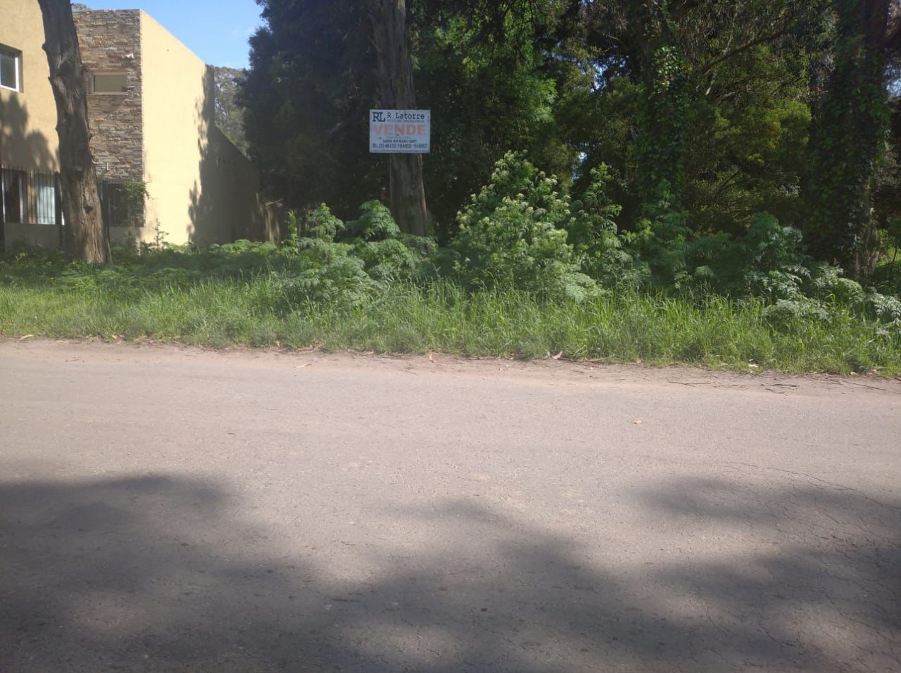 VENTA TERRENO DE 10X26 EN GANDHI Y LAS FRESIAS (PARQUE CAMET)